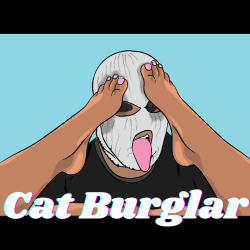 Cat Burglar Co